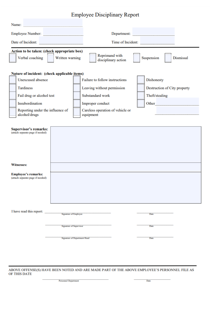 Disciplinary Action Report Example